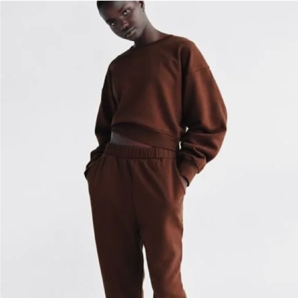Zara Brown cropped crew neck sweatshirt